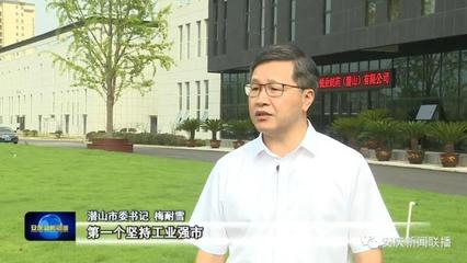 抓“雙招雙引” 開新局新篇 特色發展帶動產業集聚 推深做實“雙招雙引”——訪潛山市委書記梅耐雪